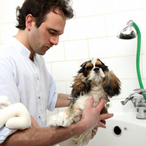 Combien de fois laver son chien ? Conseils adaptés à chaque race