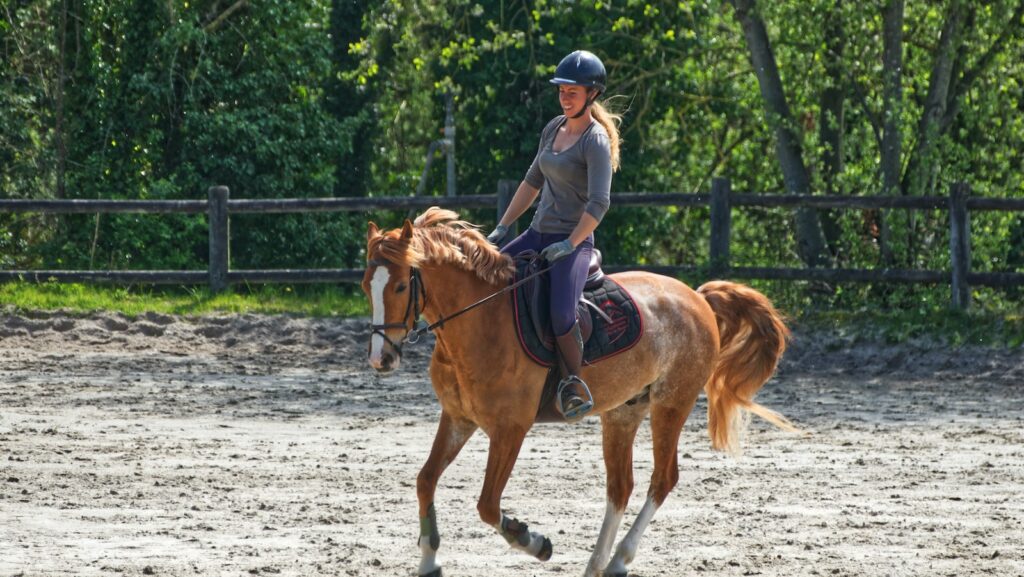 Ventes aux enchères de chevaux : comment ça fonctionne ?