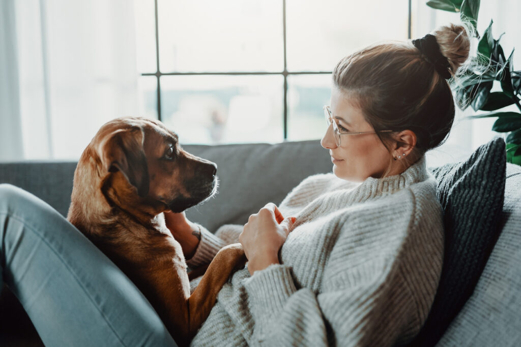 Quel chien adopter avec un tempĂ©rament sociable đ„° ? 2 Quel chien adopter avec un tempĂ©rament sociable đ„° ?