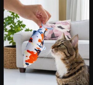 Créer un espace de jeu pour chat : Idées faciles et économiques