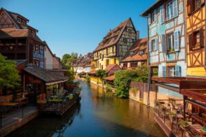 Toiletteur chien Strasbourg