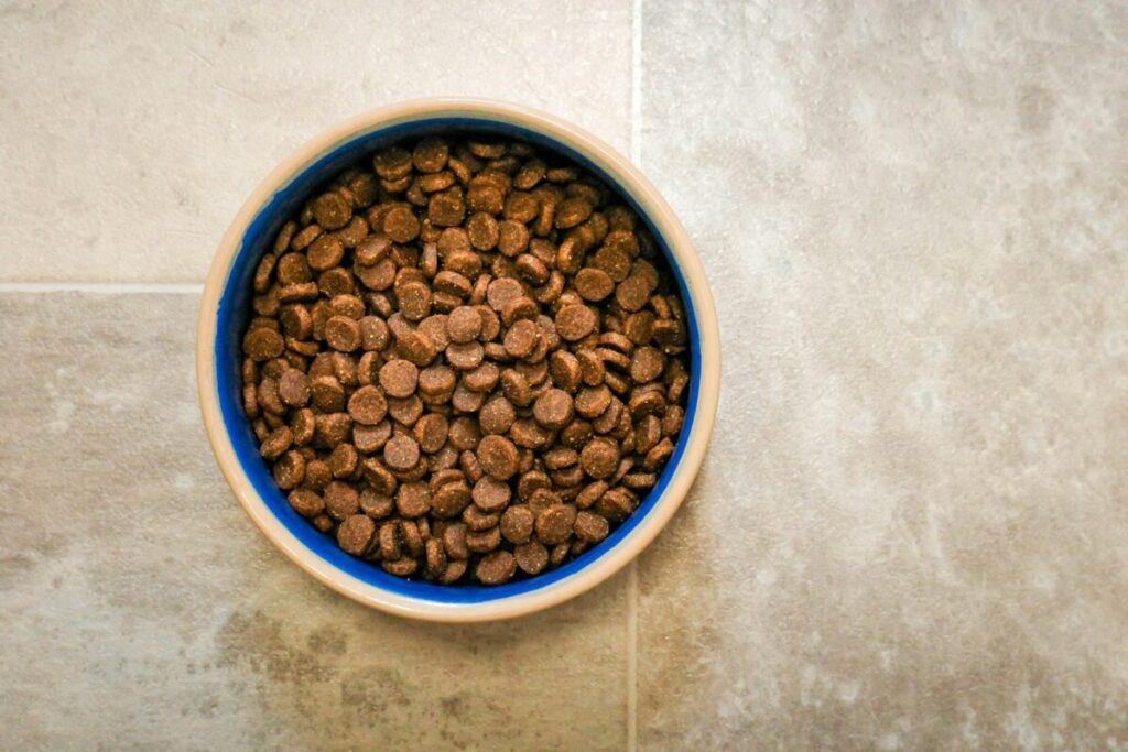 Croquettes chien ⚠️ Certaines sont néfastes pour sa santé ! Apprenez à décrypter les étiquettes et découvrez les erreurs à éviter pour un chien en pleine forme. 2 Croquettes chien ⚠️ Certaines sont néfastes pour sa santé ! Apprenez à décrypter les étiquettes et découvrez les erreurs à éviter pour un chien en pleine forme.