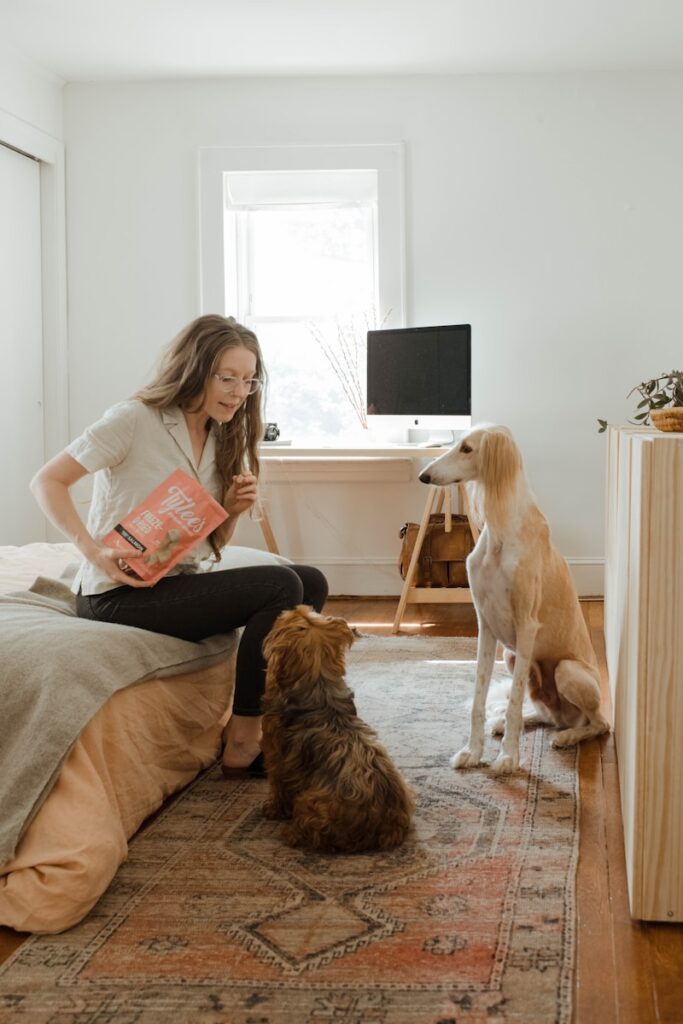 Gardiennage de chien autour de moi ❤️ Trouvez une garde fiable et adaptée à votre compagnon ! Comparatif des options, tarifs et conseils pour une absence sereine.