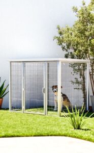Chenil pour chien pas cher : comment bien choisir