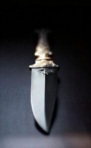 Guêpes : Guide complet pour identifier, traiter et prévenir