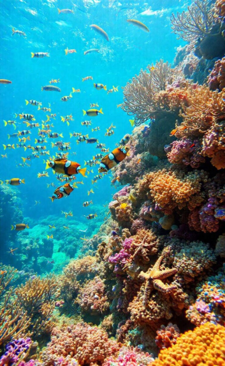 Animaux marins : un voyage fascinant dans l'univers aquatique 38 Animaux marins : un voyage fascinant dans l’univers aquatique
