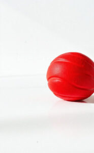 Balle kong : le jouet incontournable pour chien