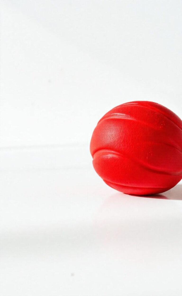 Balle kong : le jouet incontournable pour chien 40 Balle kong : le jouet incontournable pour chien