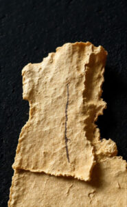 Papyrus : plante et support antique
